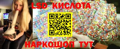 PSILOCYBIN Заволжье