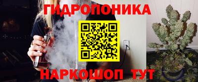 прущие крисы Заводоуковск