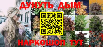 прущие крисы Заводоуковск