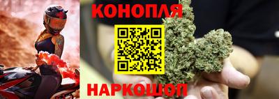 PSILOCYBIN Заволжье