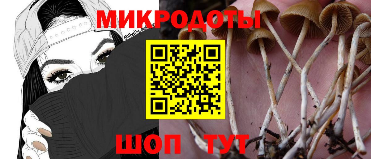 Галлюциногенные грибы Cubensis Кашира